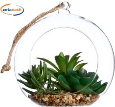 APPENDINO VASO SFERICO VETR TRASP PIANTINA GRASSA ASS H17D14