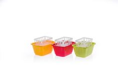 SCOLAPOSATE RETTANGOLARE 4 POSTI E RECIPIENTE ACQUA