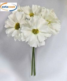 CONF 12 MARGHERITA NATURAL TOUCH