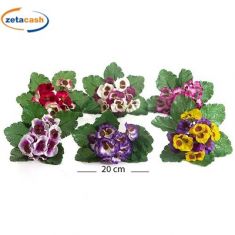 MAZZETTINO 11 VIOLE DI PANSE H20CM COL ASS