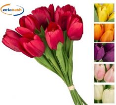 BUSH 7 TULIPANI OLANDA