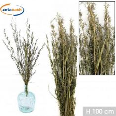 MAZZETTINO DECORATIVO ERBA SECCA ALFONSO VERDE 100GR H100CM